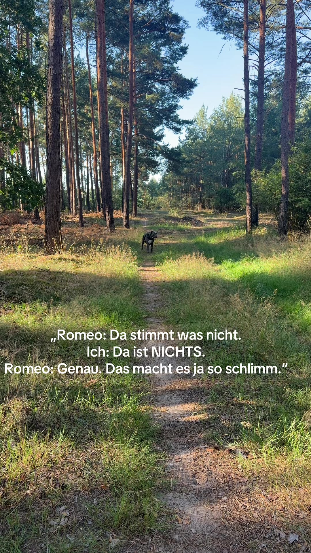 @romeo.der.bully
