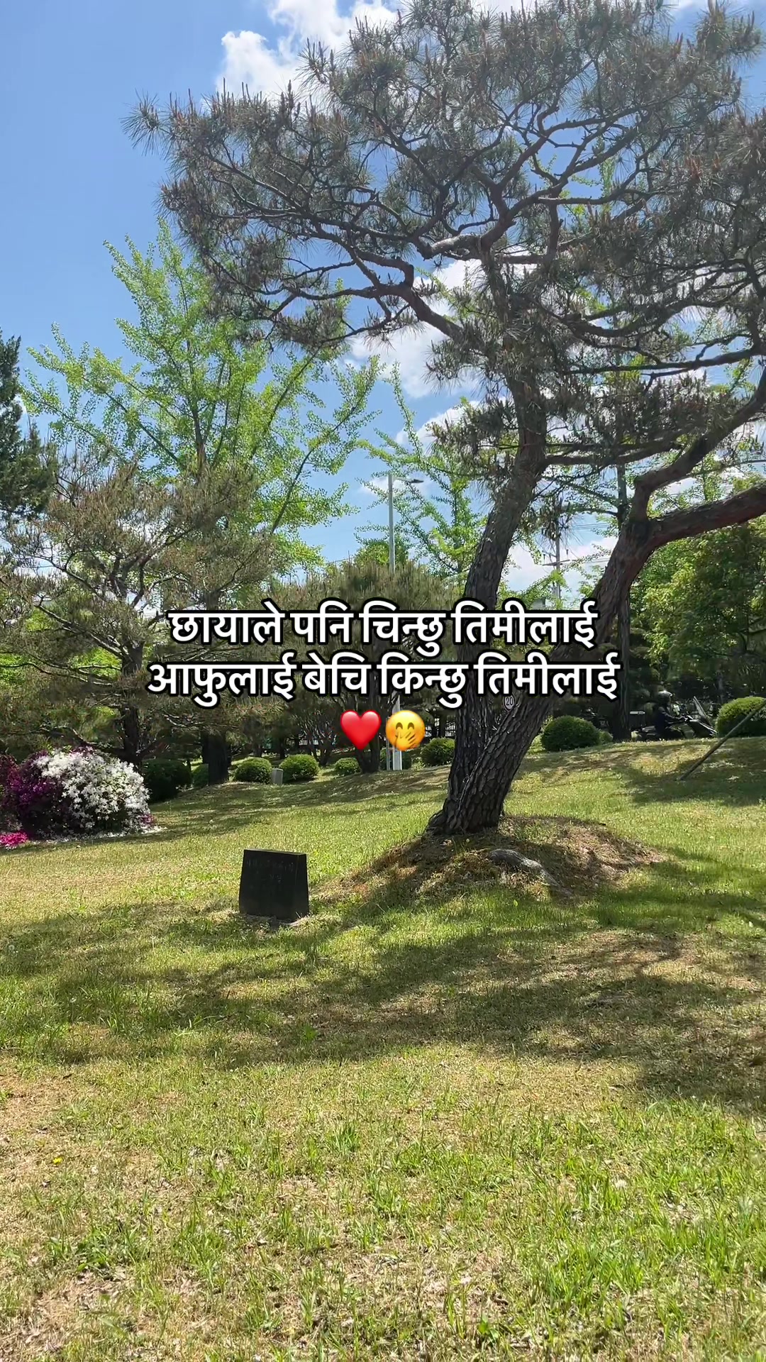 @jyoti.0119