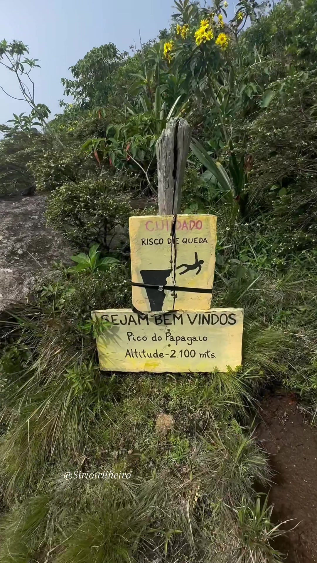 @Marcony