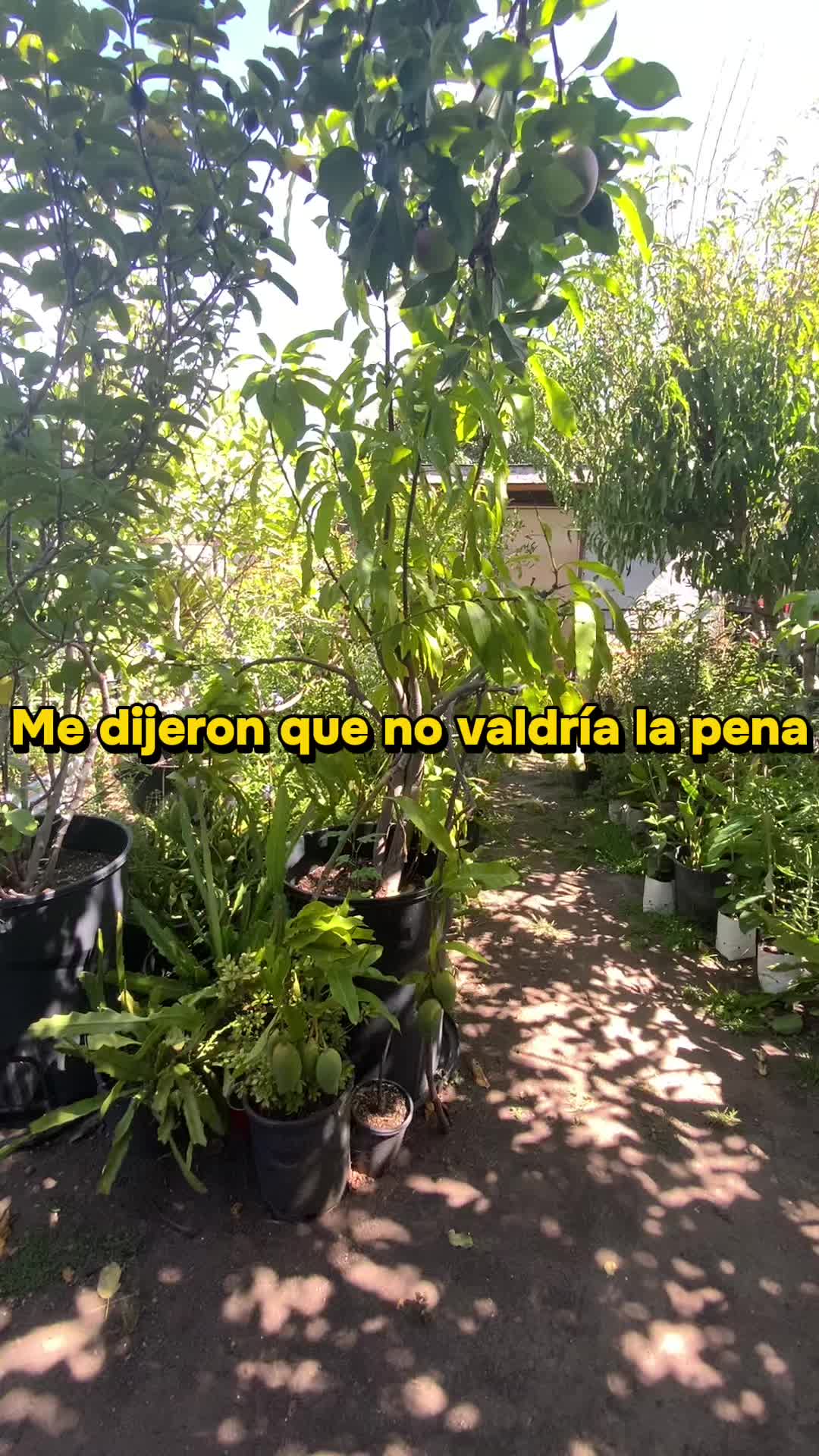 @floradigital