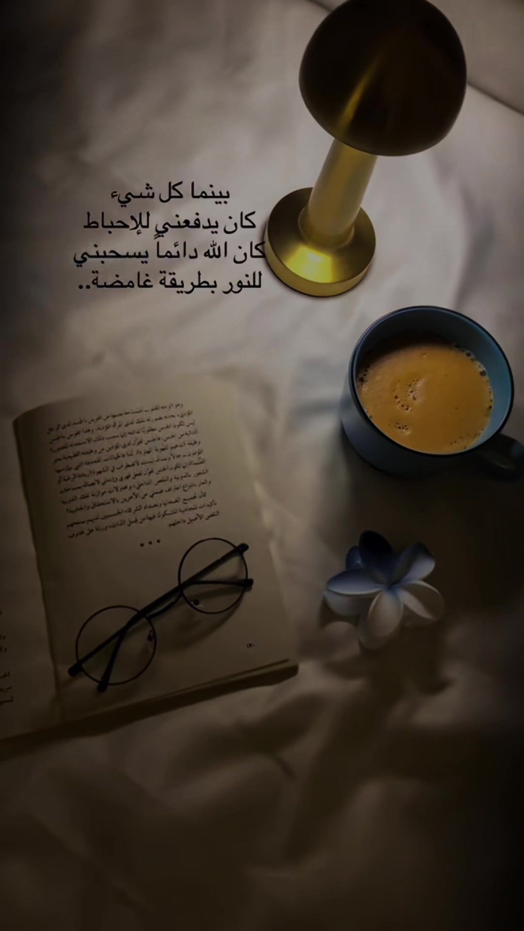 @Tahani Mohammed