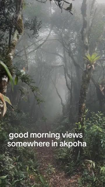 @princewilliams👑