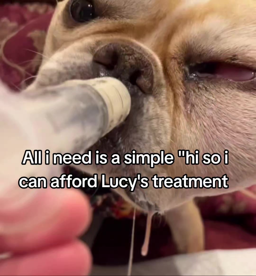 @CancerFighterPup