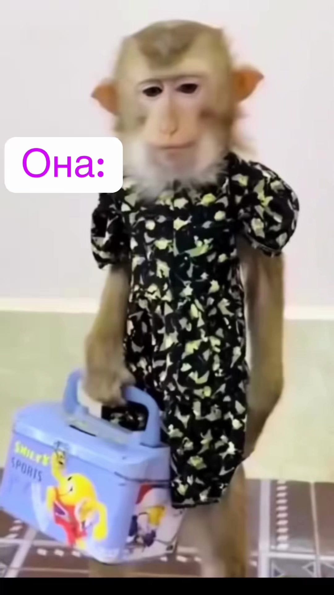 @Александр