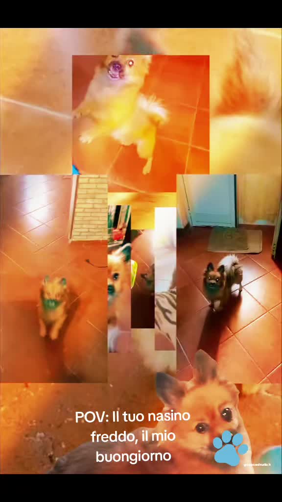@๐ถโ๐ ๐ฟ๐๐ù ๐โ๐ถ