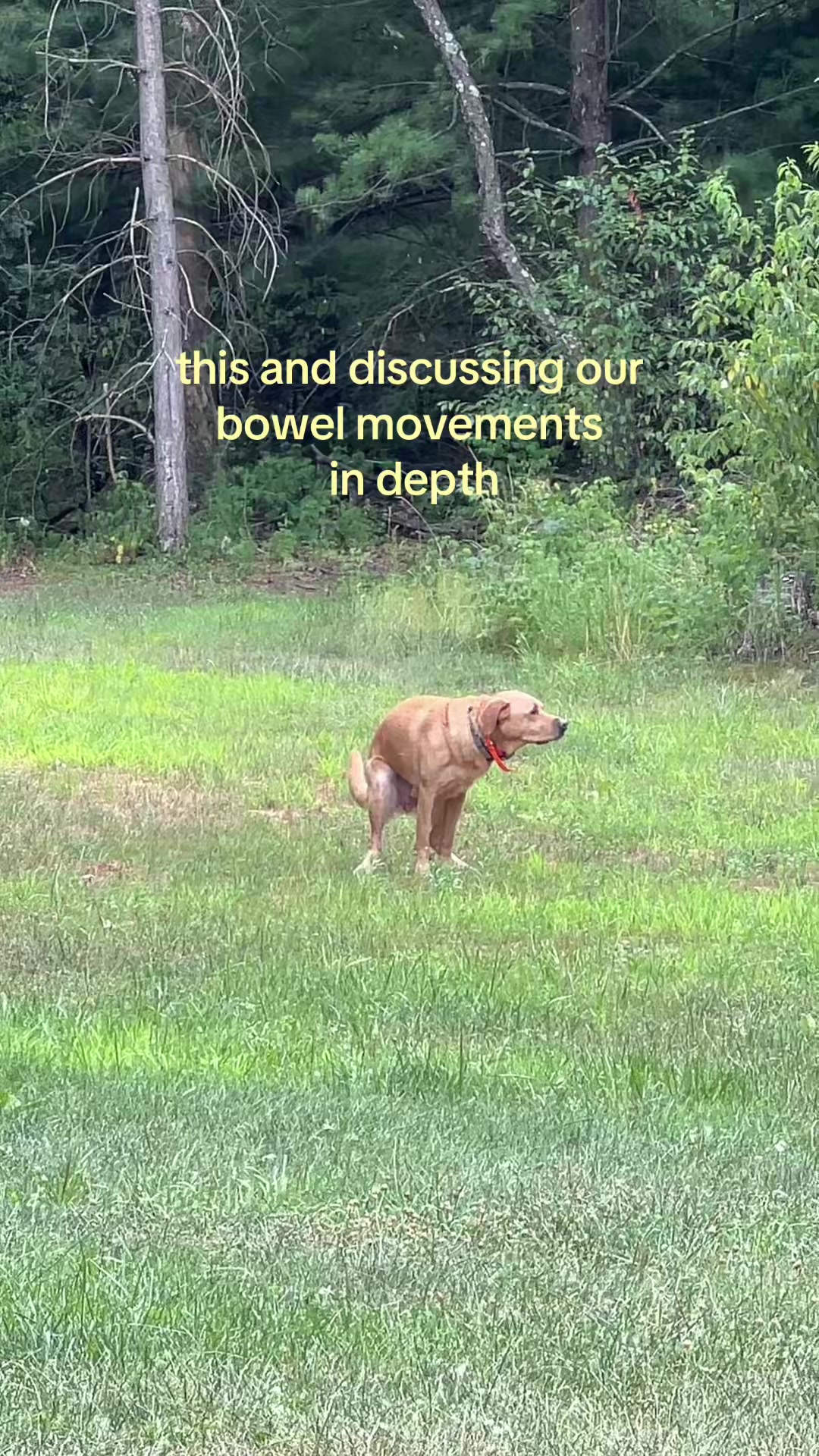 @Michelle