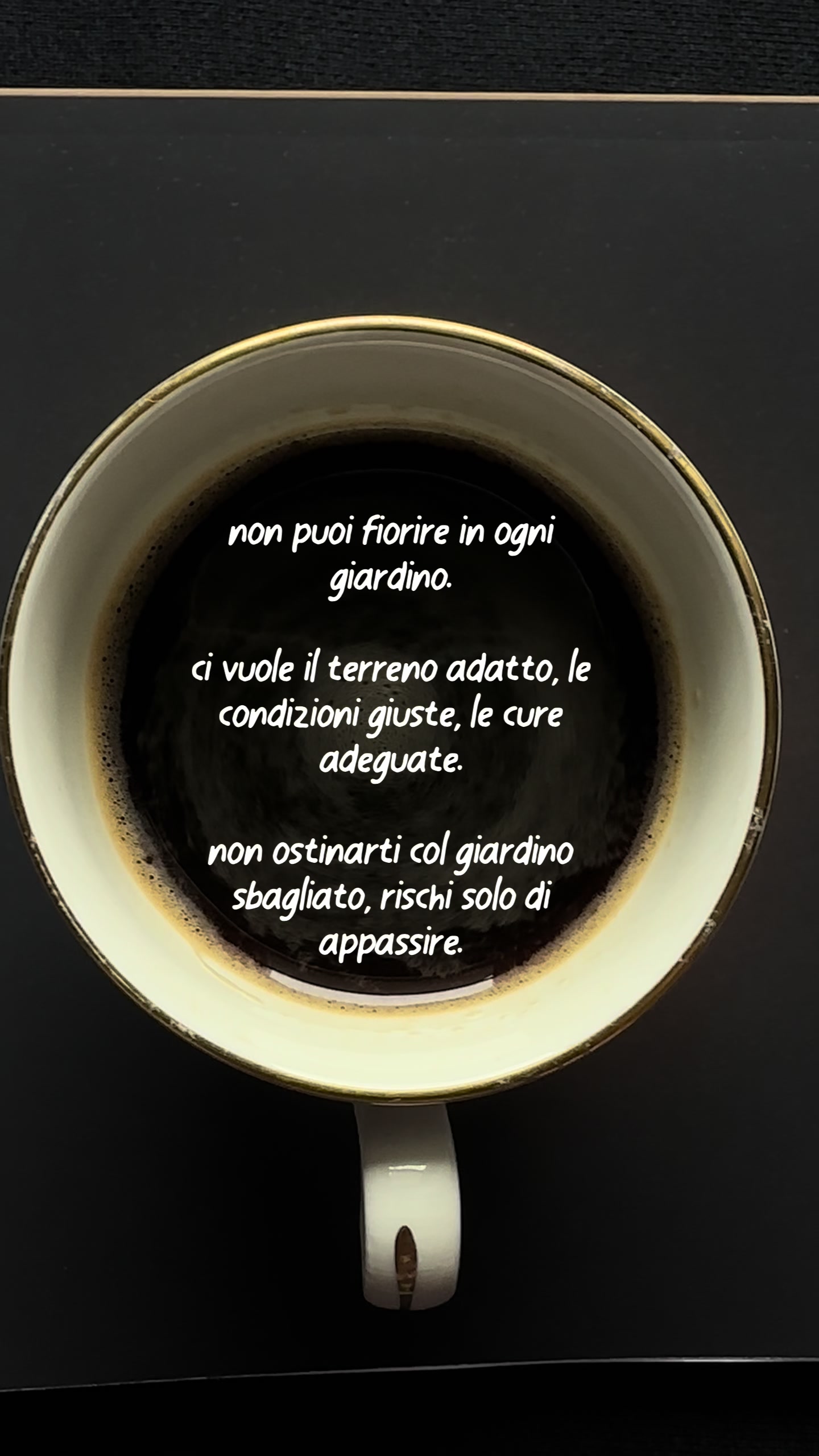 @il caffè del mattino ☕️