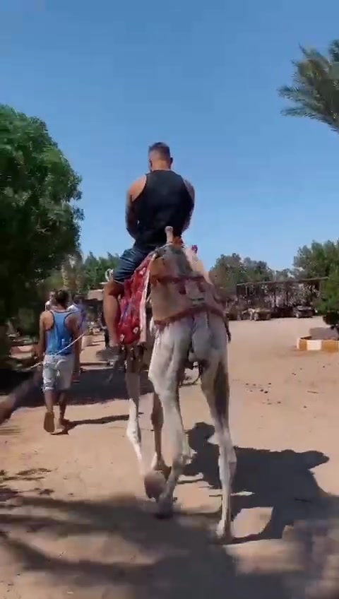 @Besnik_athlete