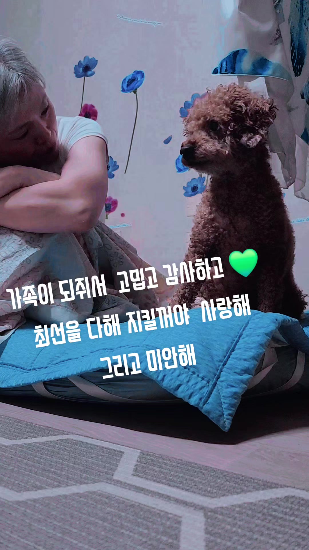 @고디 에미 요요♡