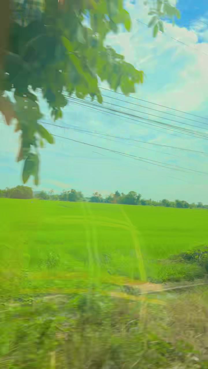 @🦋ပန်းနု🩵