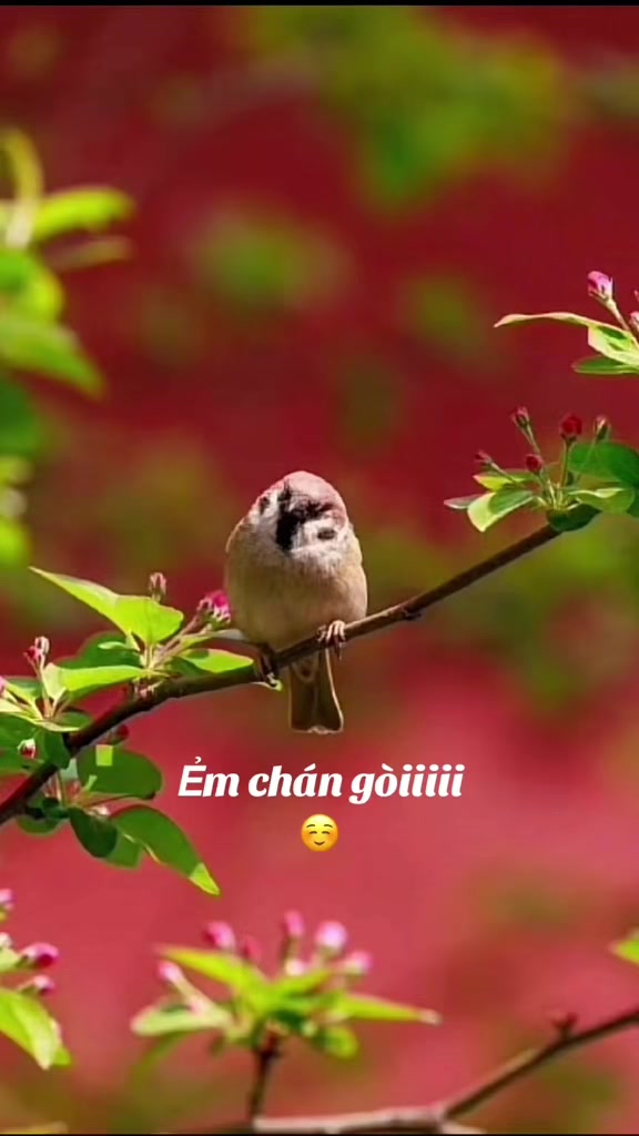 @Uyên Phuong 🇺🇸💖🇻🇳