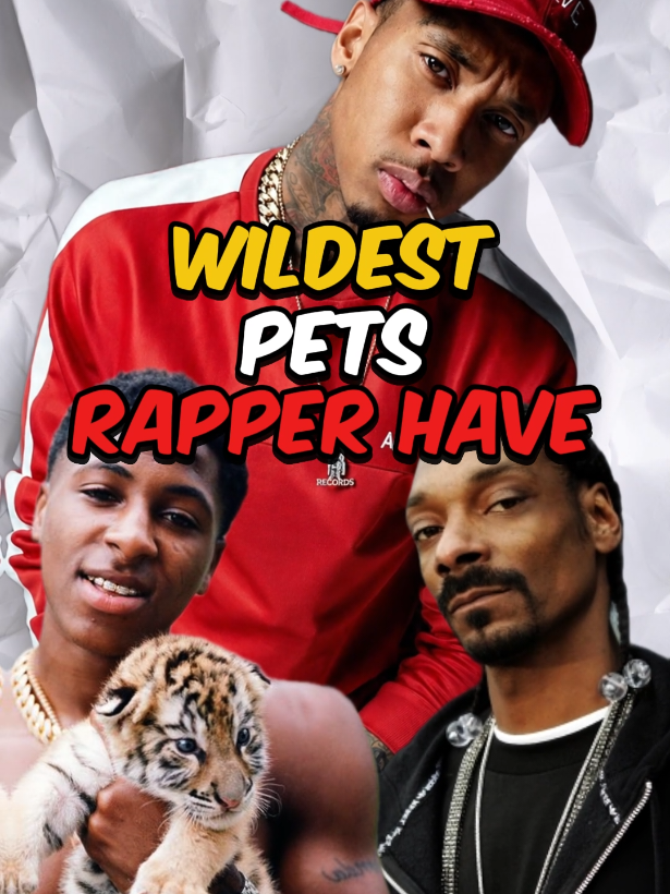 @Celebrity24