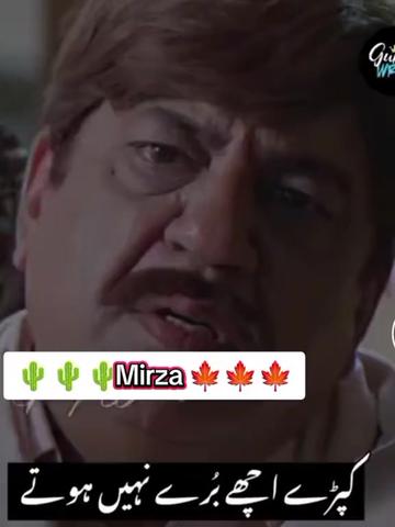 @miss mirza