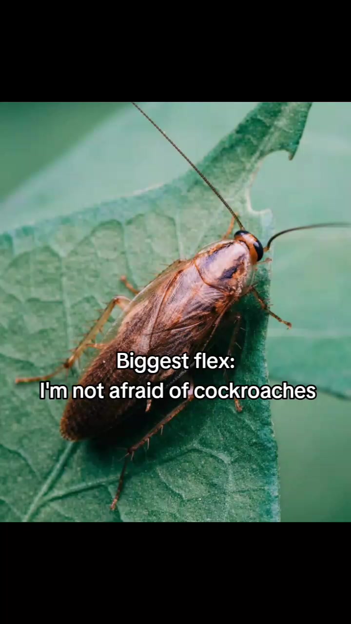 @⭒𝓥 ⭒