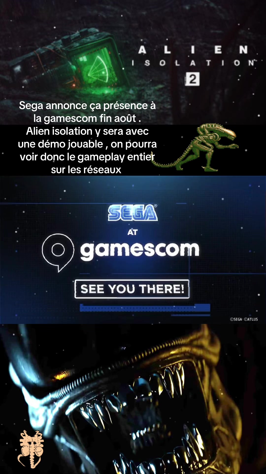 @Jurassic xénomorph