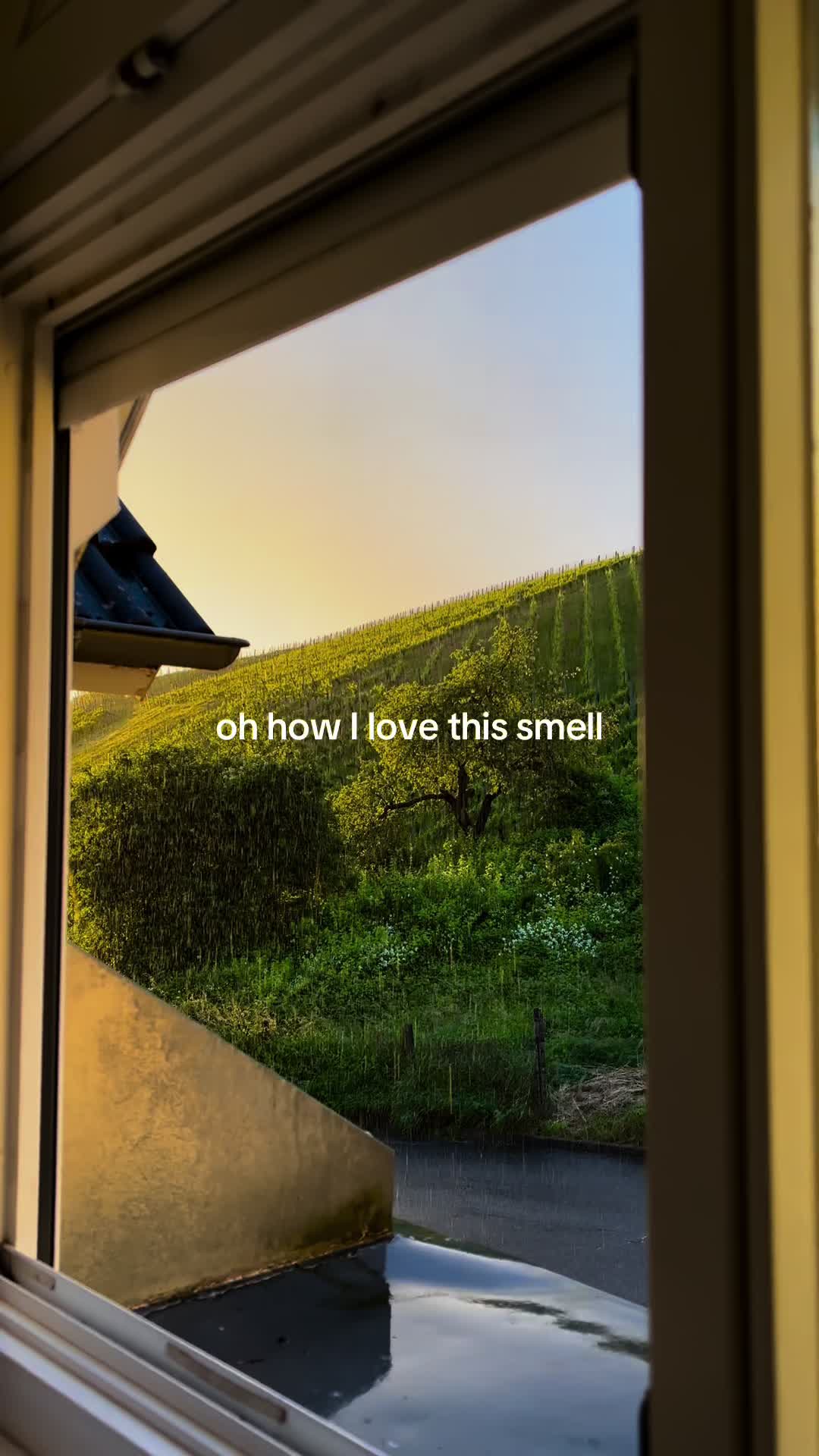 @Aneli