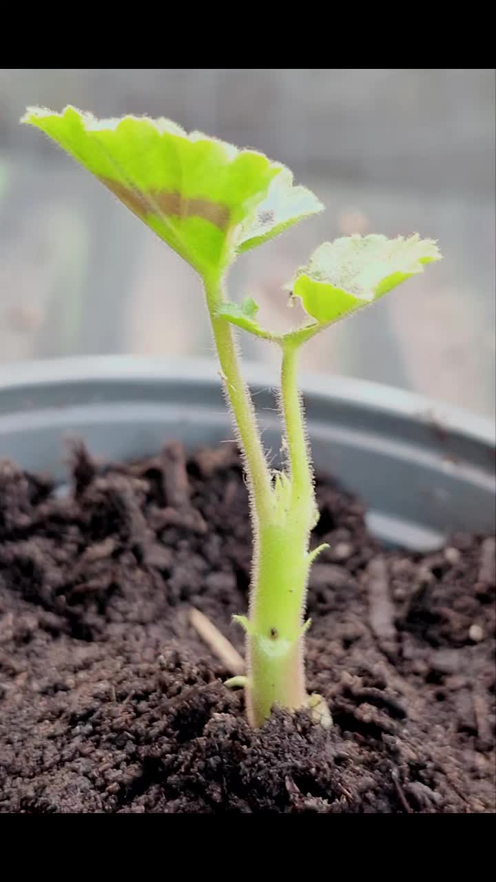 @Natur und Garten