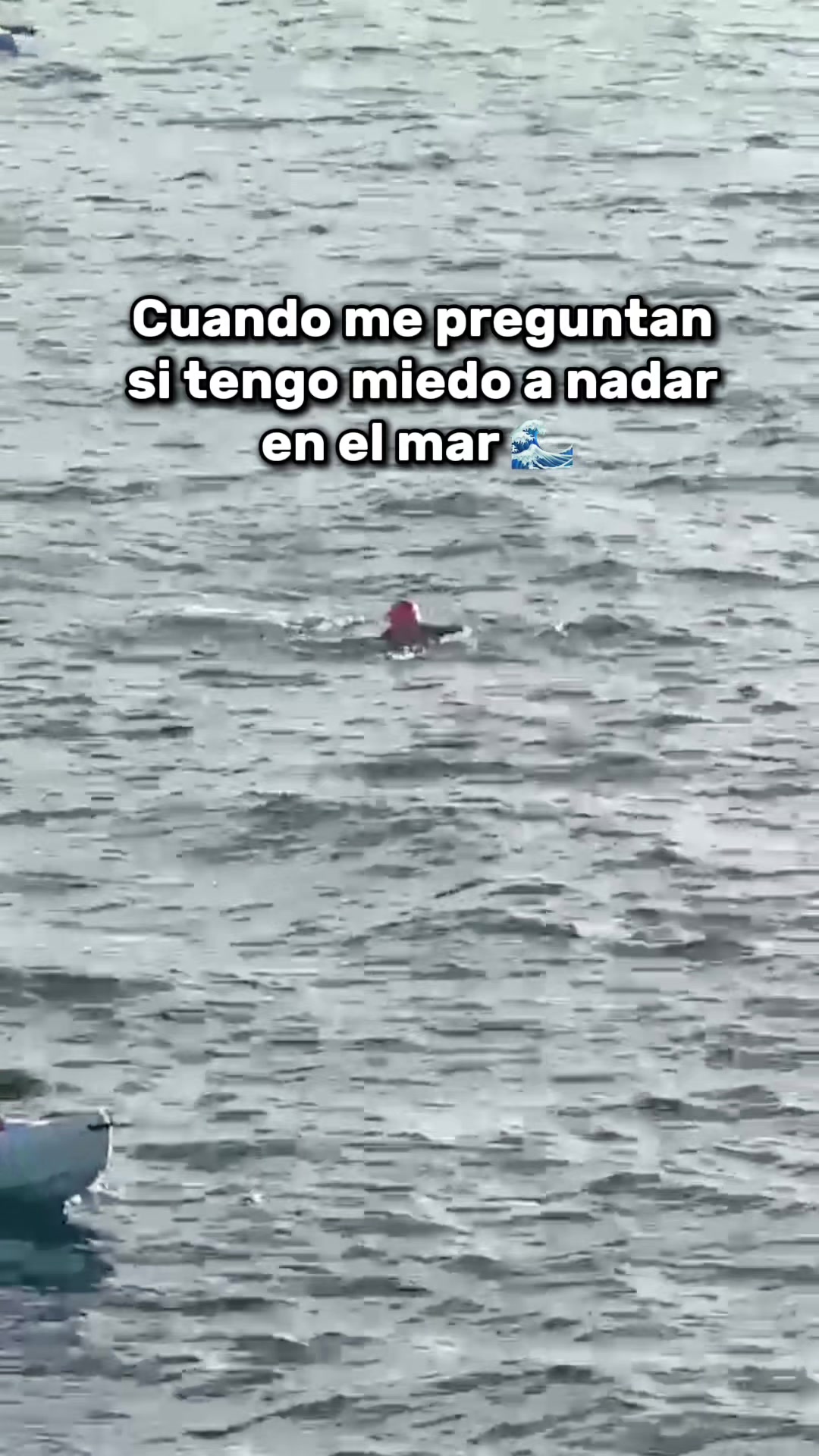 @Daniela MM
