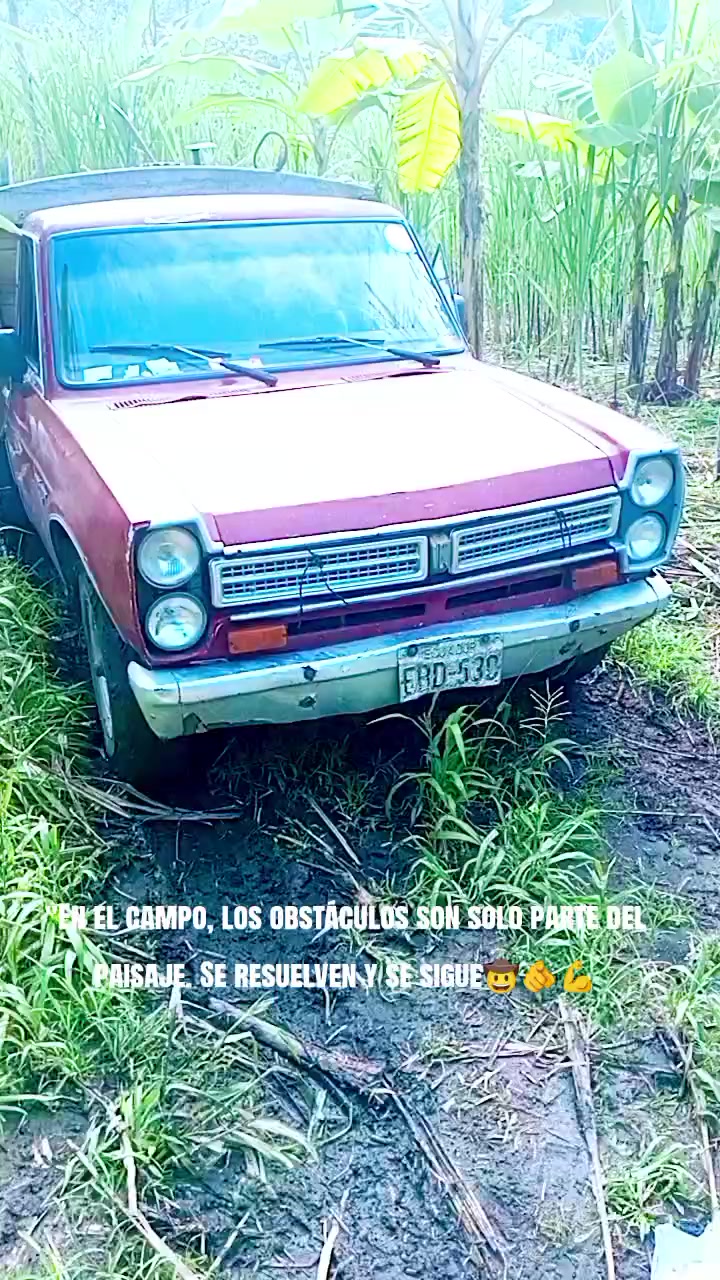 @Dr. Carlos Mendoza