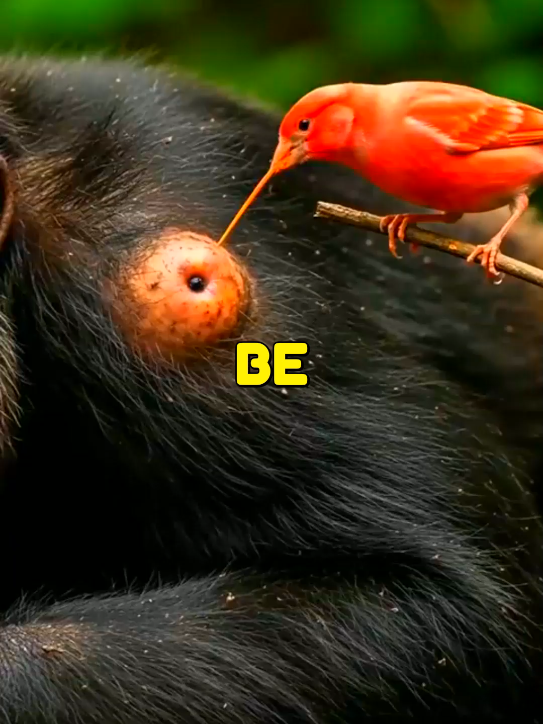 @&deg;