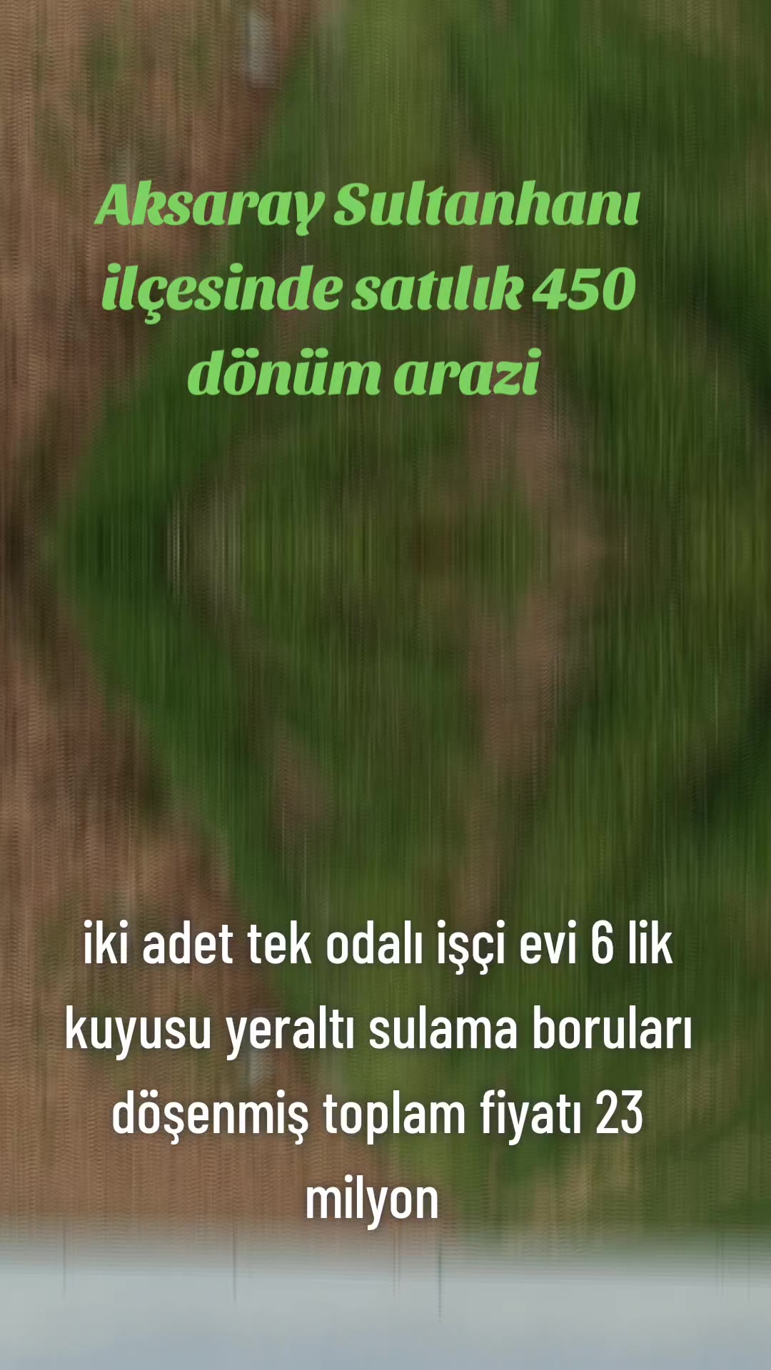 @Hataylı