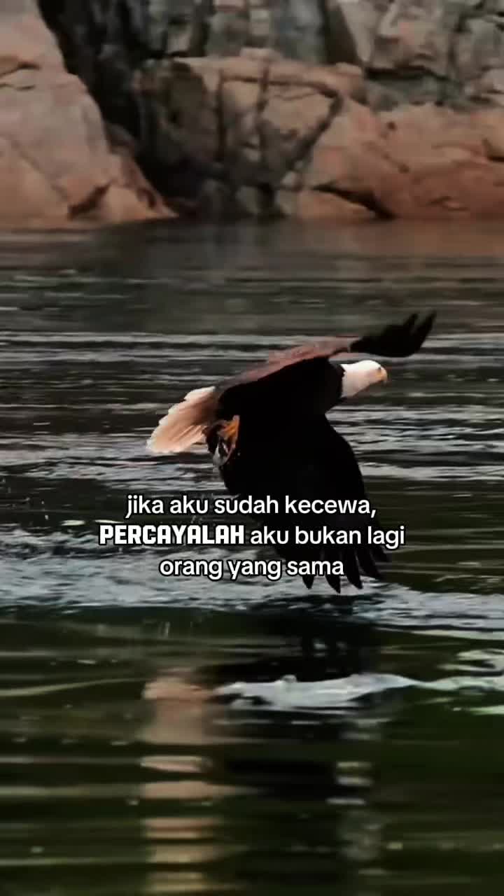 @Introvert☠️