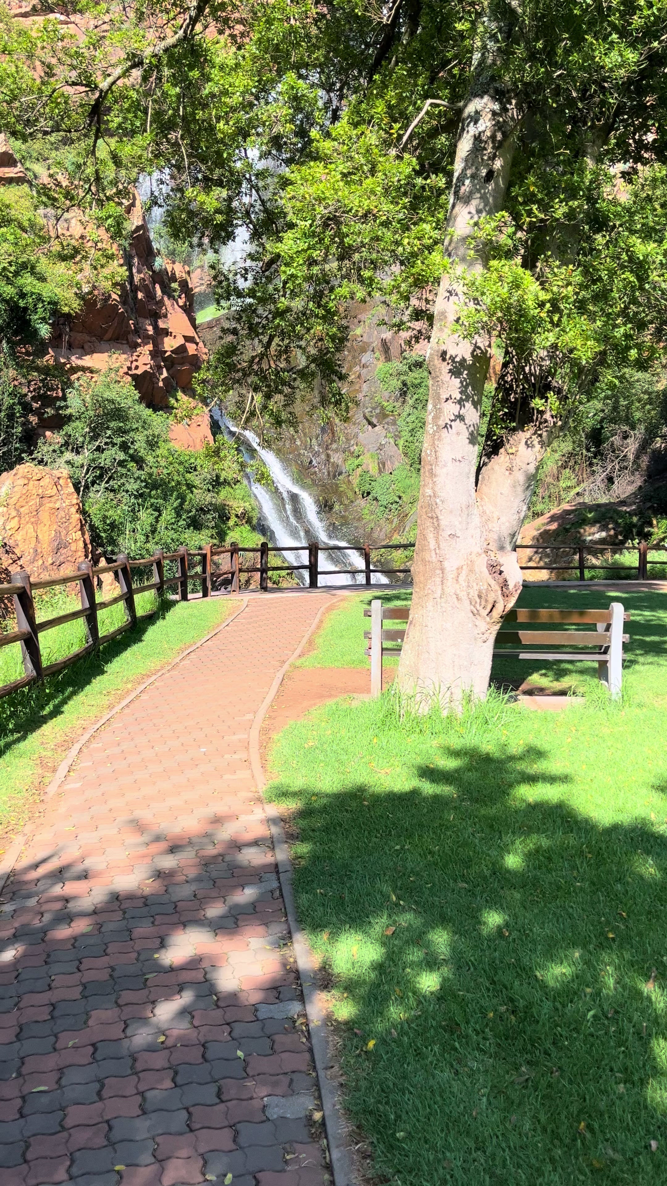 @South African Wanderer