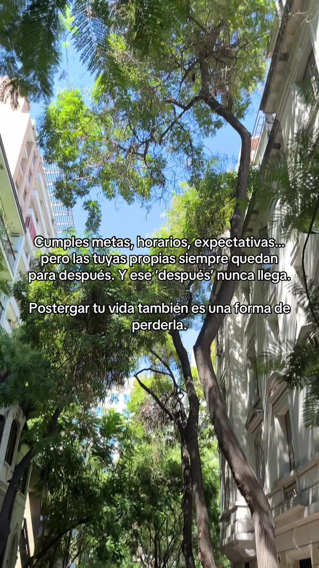 @Xela