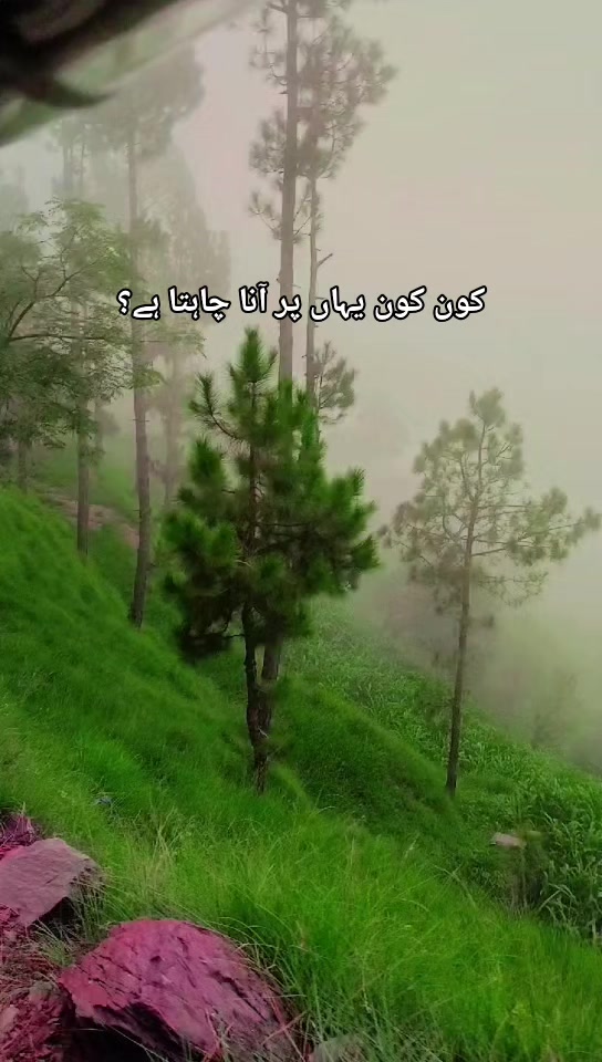 @Eجaz Qasim