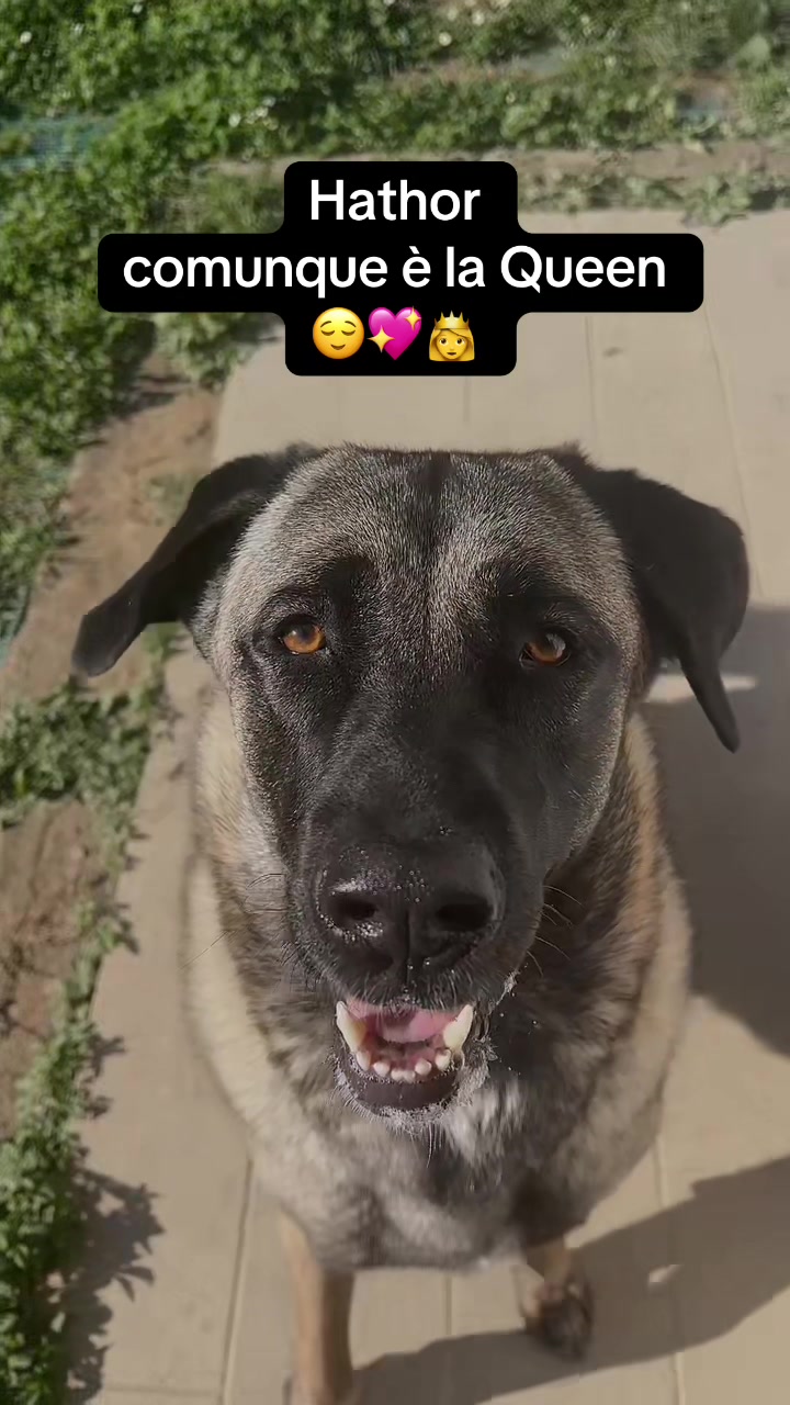 @Hathor ❤️