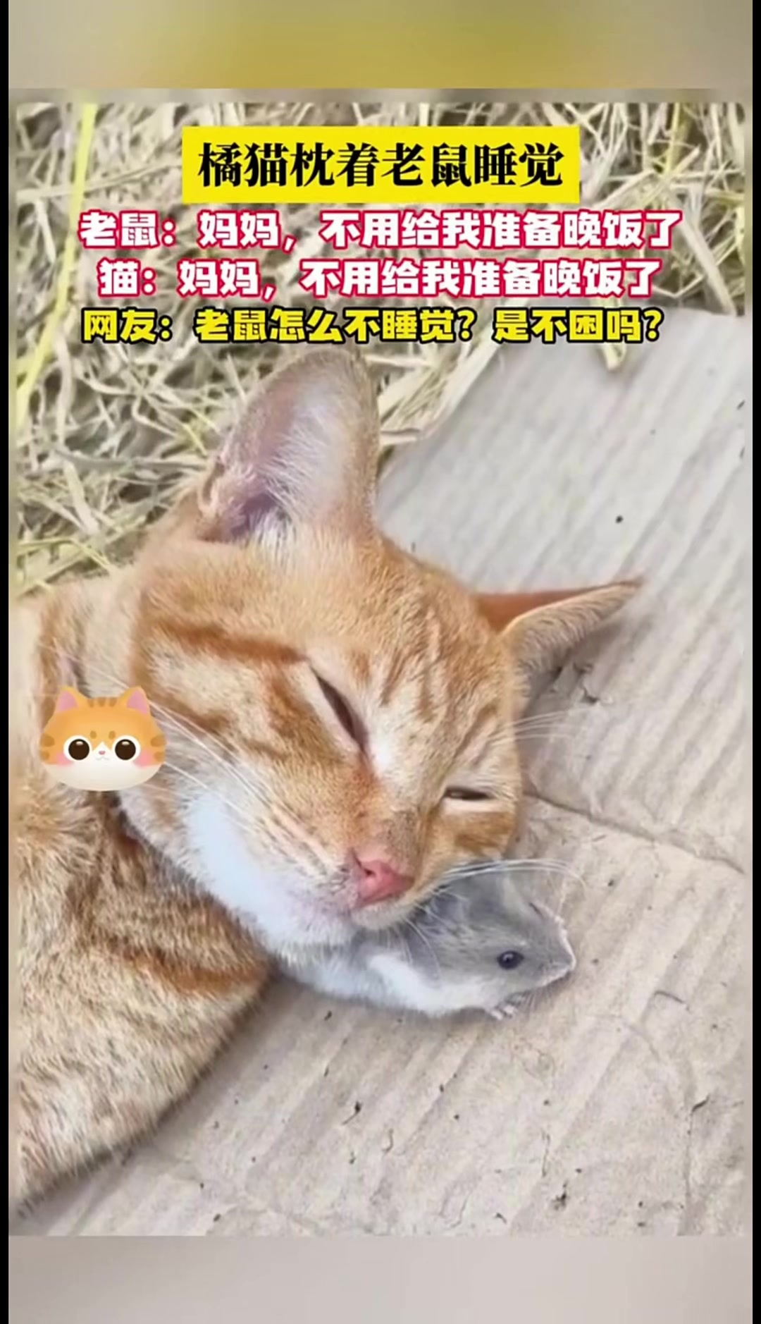 @中国蓝国际