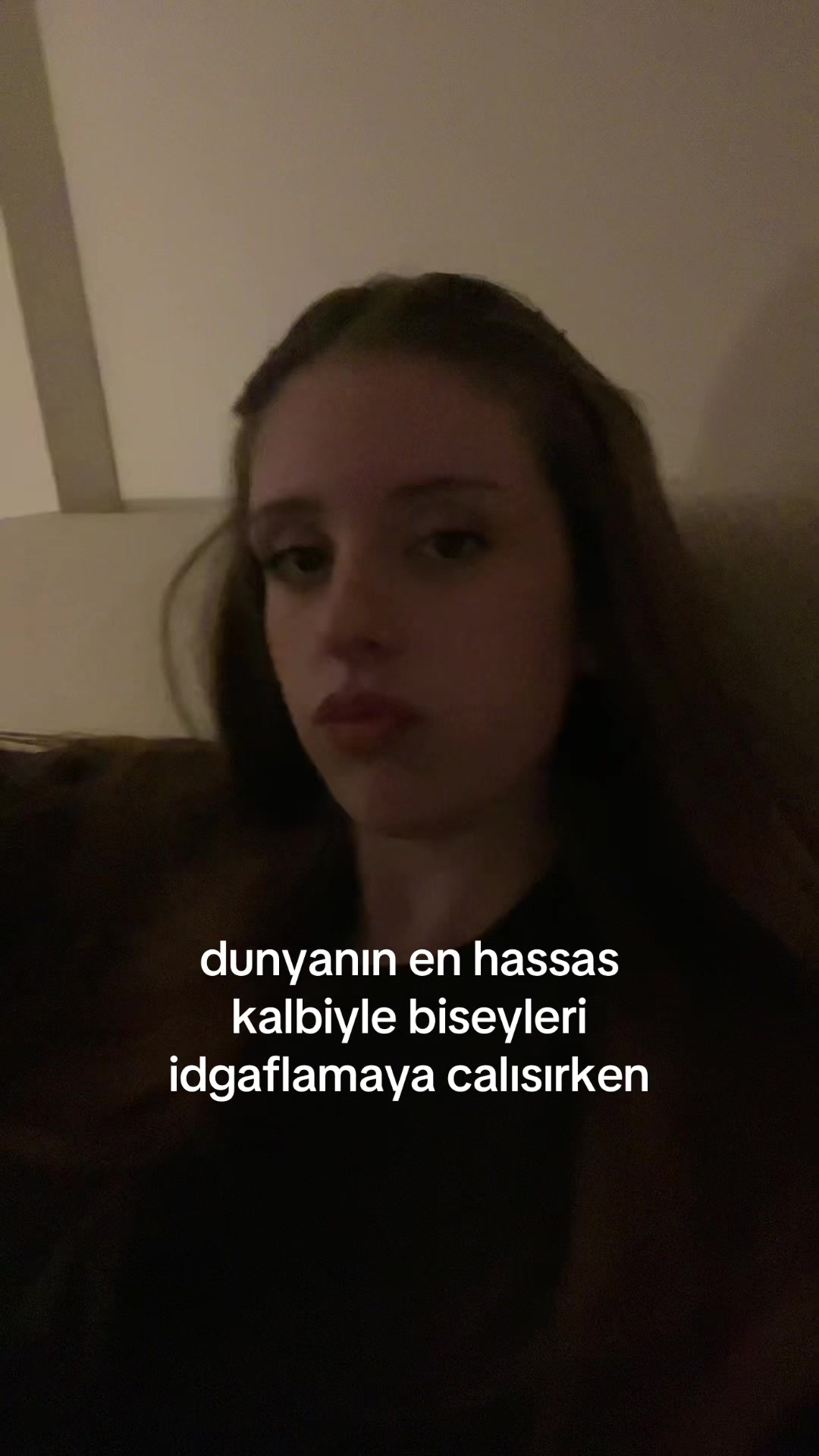 @bilge.adamreis