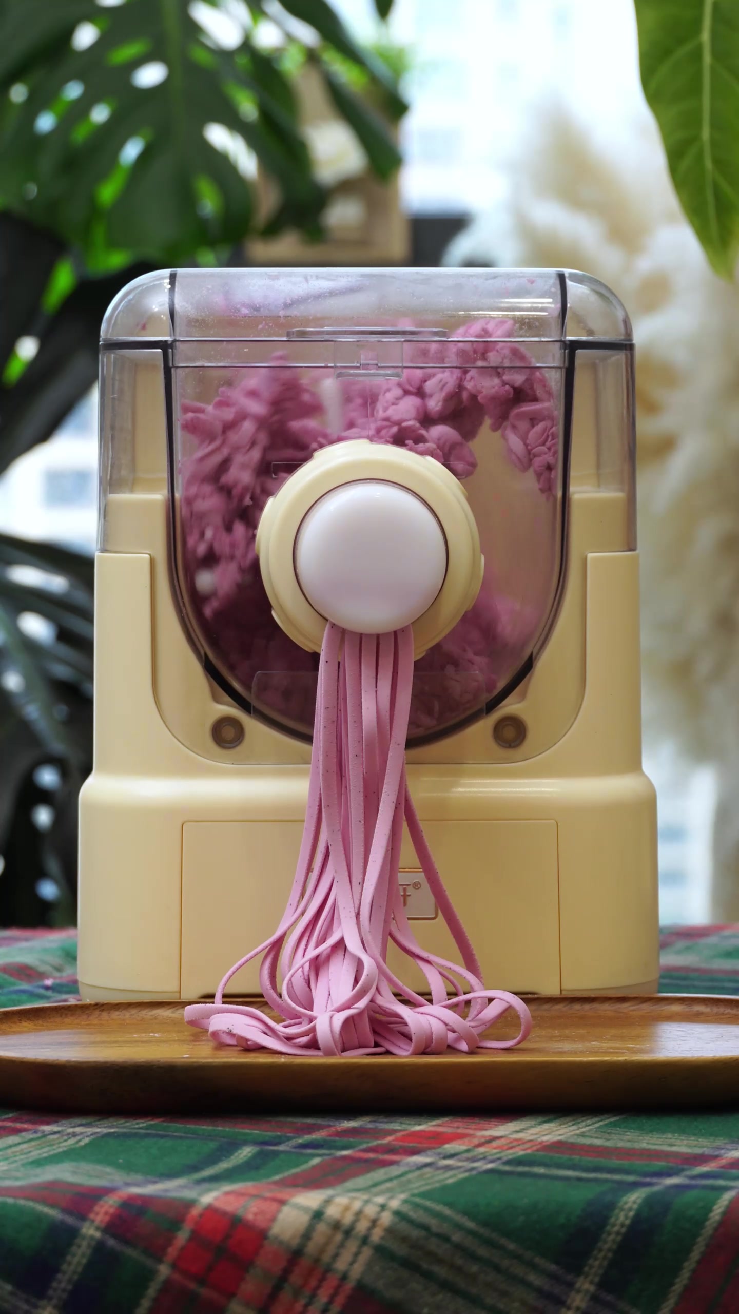 @Pasta maker factory