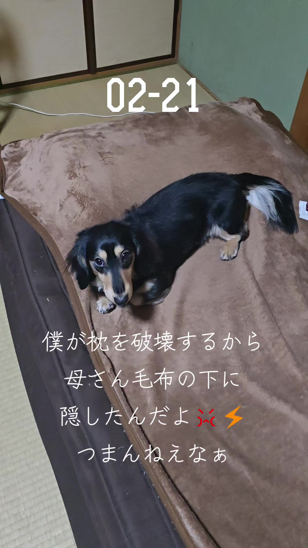 @hiro110