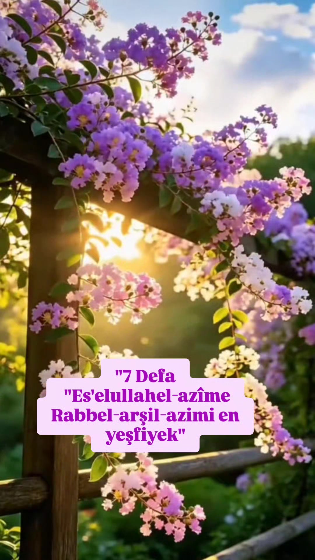 @hayat nereye gidiyor
