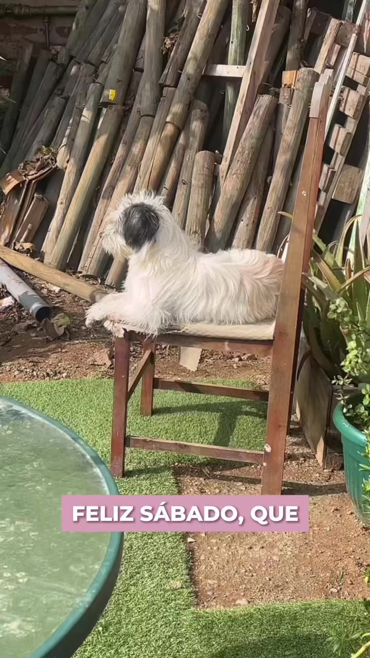 @Esthy la de siempre