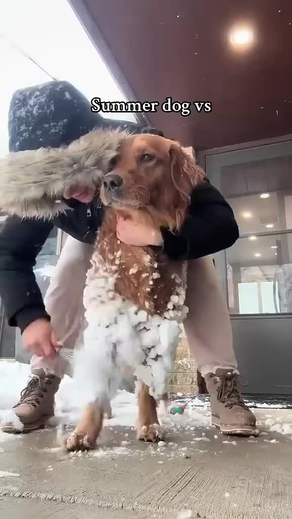 @pawfriends