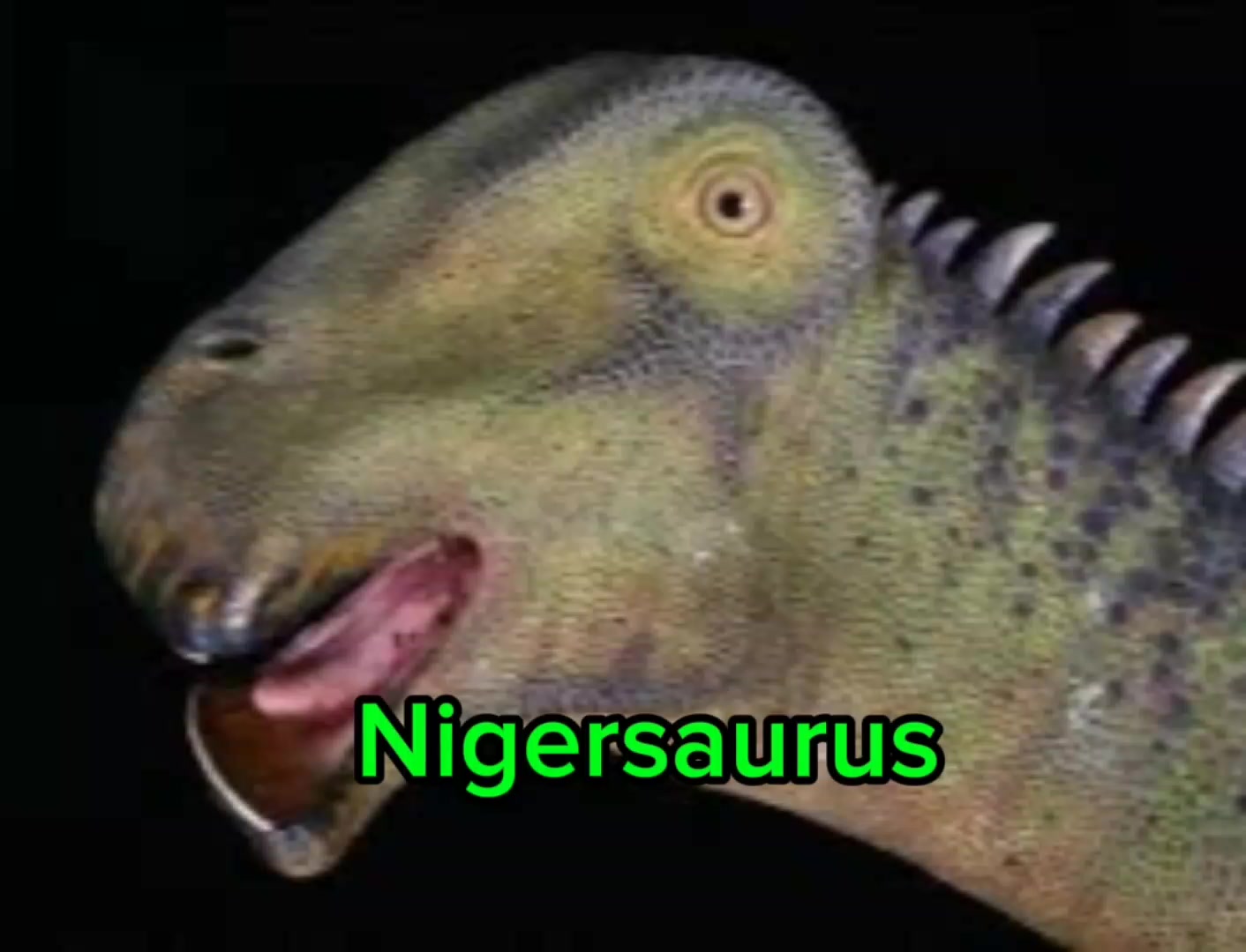 @Matrexdino TEA