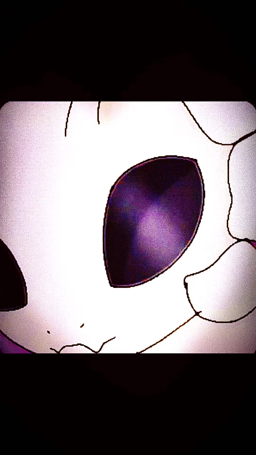 @Doki-.w.