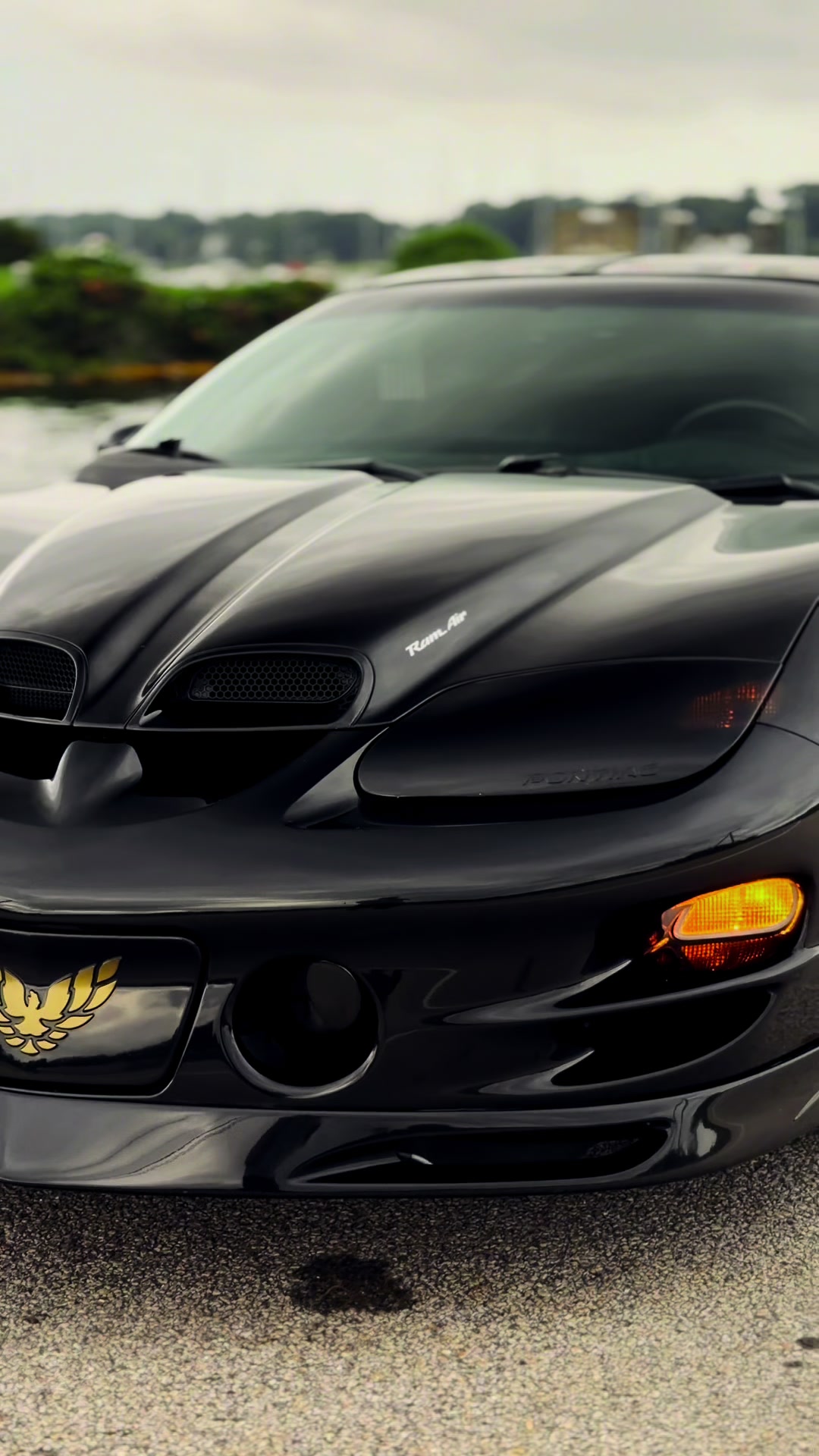 @Scatpack Bee 🐝