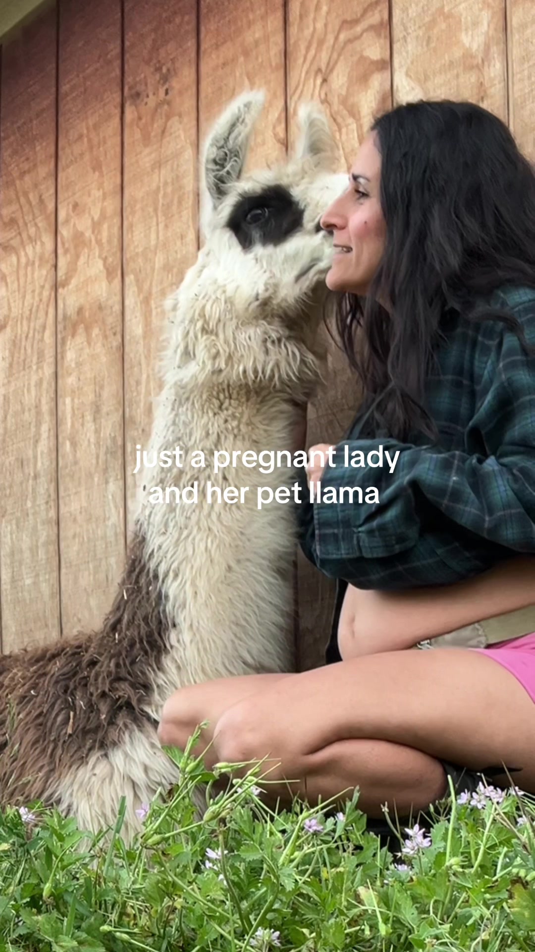 @40 year old Persian Farmer