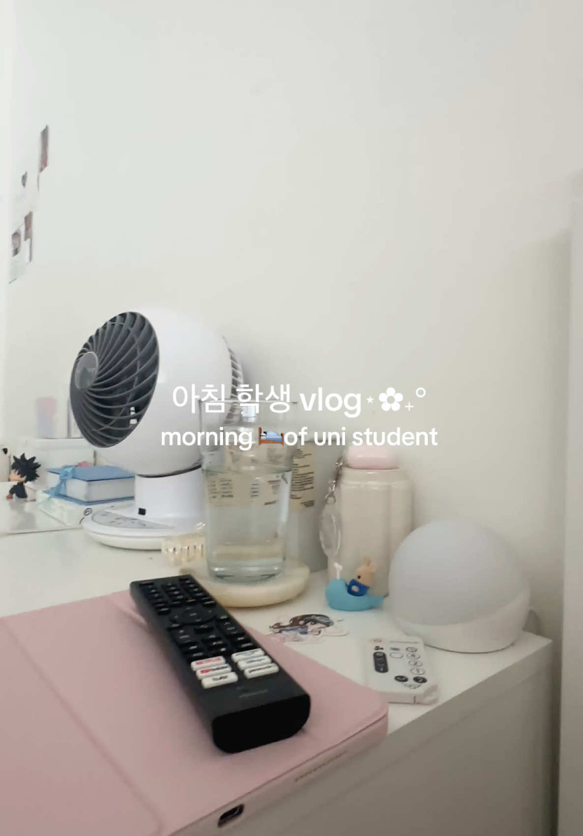 @bora ✦