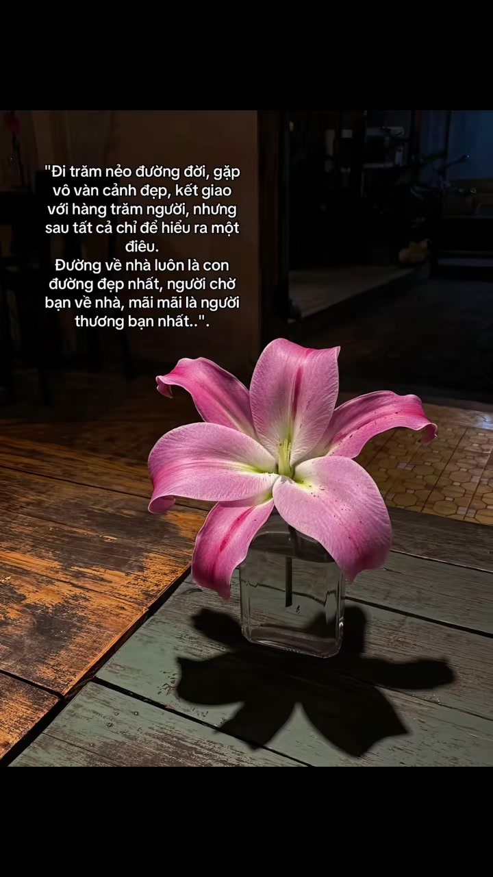@Mộc Lan