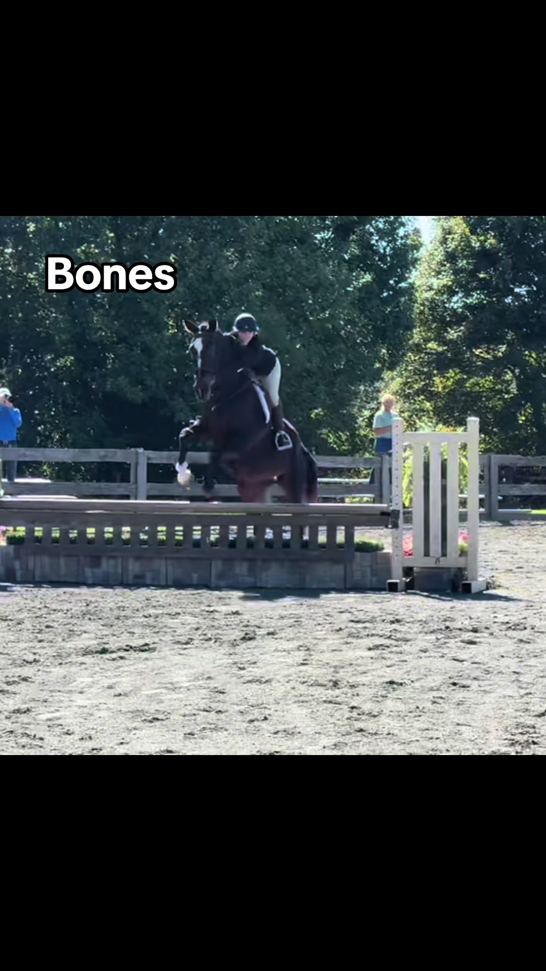 @Aftyn 🐎