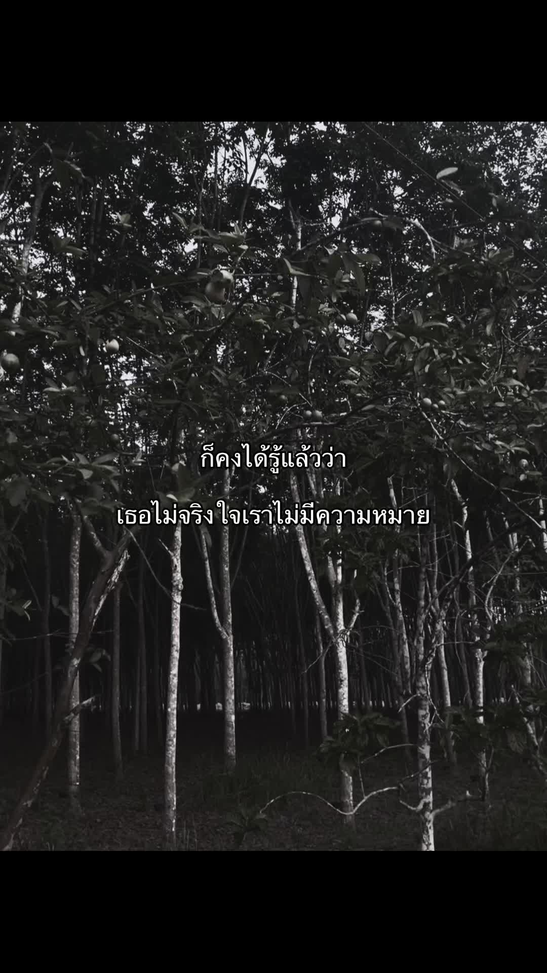 @เเอคนี้ลงเเต่เธรด