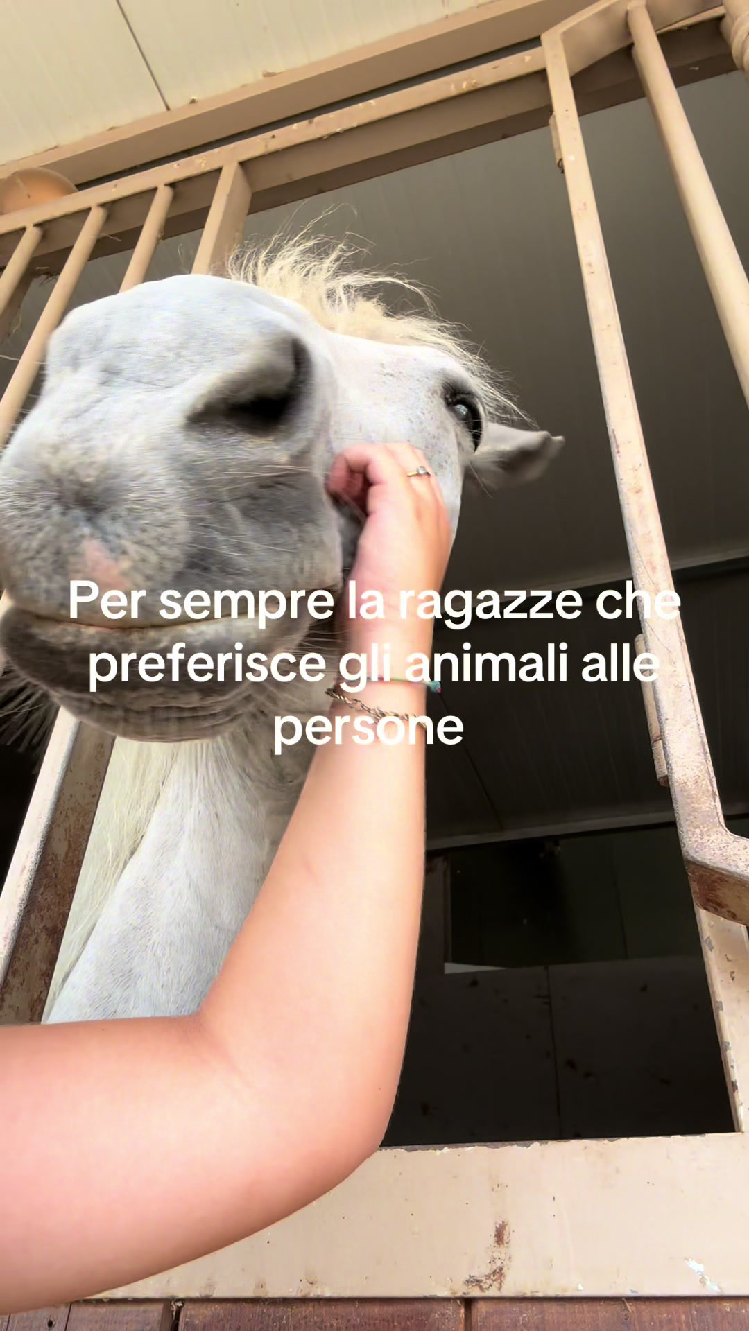 @Giulia
