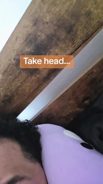 @LordKamiSkrimp🙏🏼🍤