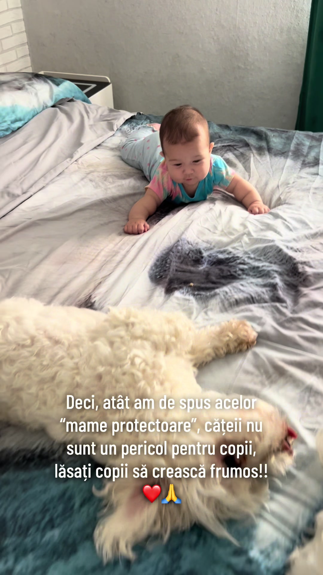 @Sîrca Andrei