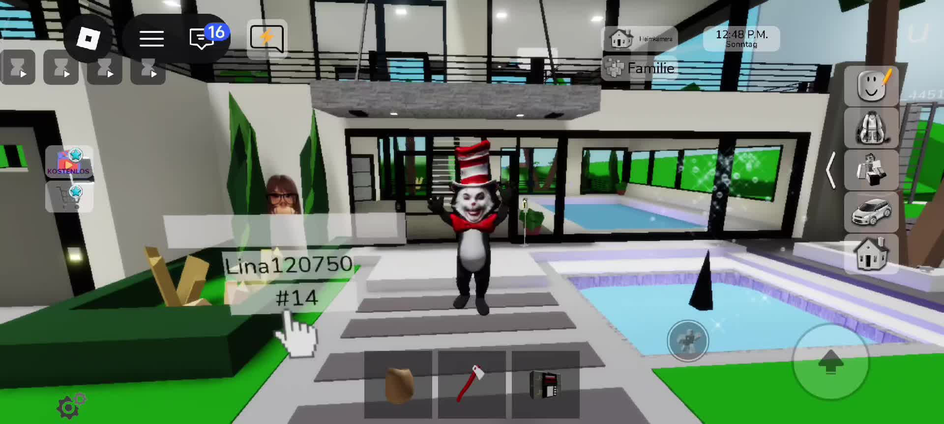 @cat in the hat