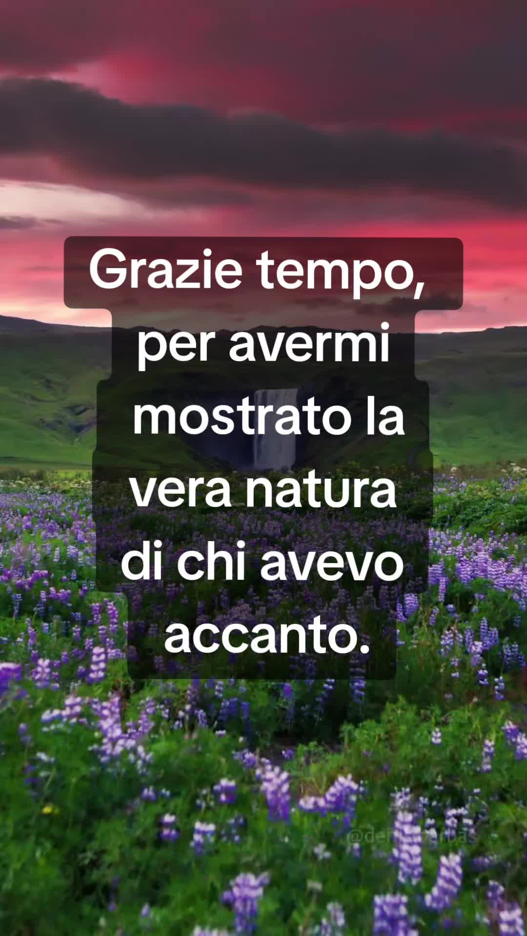 @💫FRASI&CITAZIONI💫
